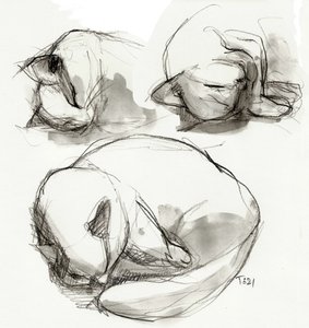 Studi sul gatto che dorme da Tore Bahnson
