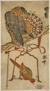Sparviero e ara (Konori taka, inko) da Torii Kiyomasu I