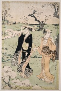 Hanami al Monte Asuka