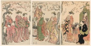 Cortigiane e i loro bambini sotto ciliegi in fiore da Torii Kiyonaga