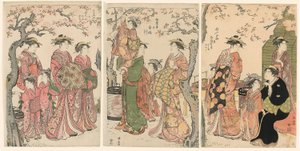 Cortigiane e i loro bambini sotto alberi di ciliegio in fiore da Torii Kiyonaga