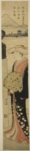 Donna ben vestita che attraversa il ponte Nihonbashi