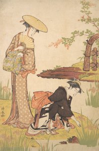Il giardino degli iris