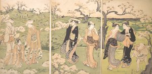 Giovani Donne che Ammirano i Fiori di Ciliegio ad Asukayama