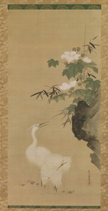 Aironi e rose di cotone, metà-fine XVII secolo da Tosa Mitsuoki