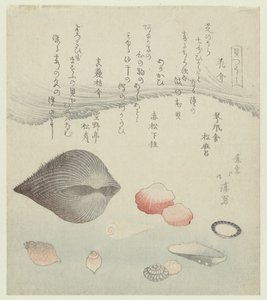 Conchiglia di fiori, conchiglia rossa e conchiglia pura rossa da Totoya Hokkei