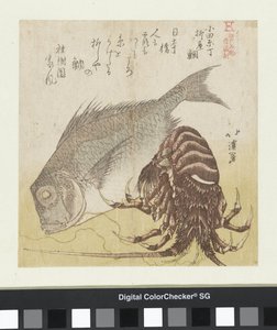 Il branzino di Yanagiya a Odawarachō da Totoya Hokkei