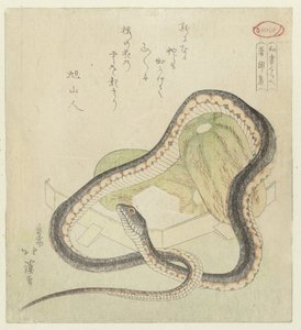 Una raccolta di cose udite, presente e passato da Totoya Hokkei