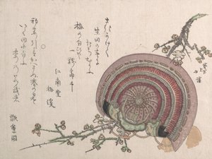 Elmo e fiori di prugna da Totoya Hokkei