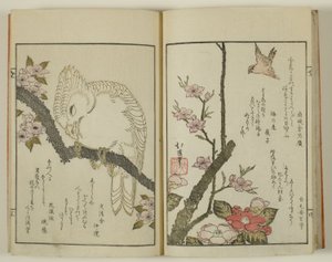Kyoka hyakucho Kocho da Totoya Hokkei
