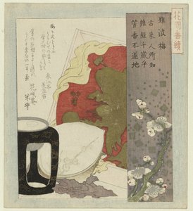 Fiori di prugna di Osaka