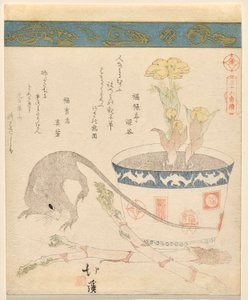 Ratto e Capodanno da Totoya Hokkei