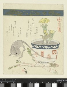 Ratto e ciotola con Adone da Totoya Hokkei