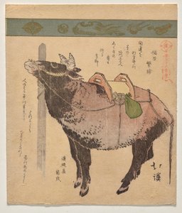 Bue legato da Totoya Hokkei