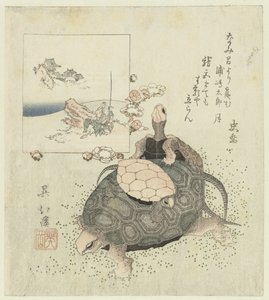 Tartarughe