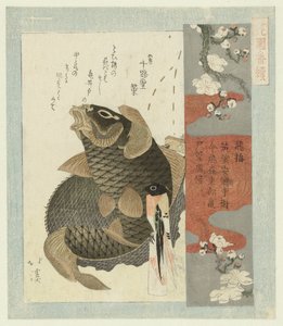 Prugno volante da Totoya Hokkei