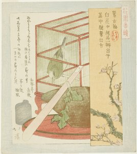 Usignolo in una Gabbia, dalla serie "Una Serie per il Gruppo Hanazono (Hanazono bantsuzuki)" da Totoya Hokkei
