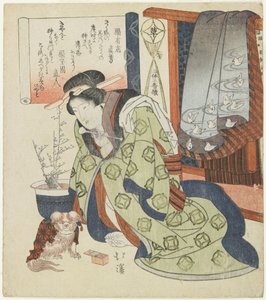 Cortigiana con un cane pechinese