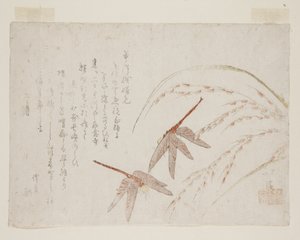 Libellule (stampa xilografica a colori) da Toyota Hokkei
