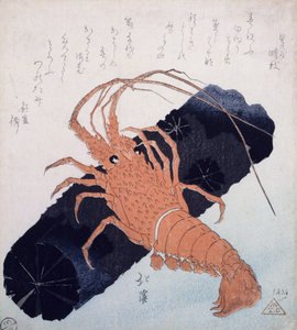 Scampo con un blocco di carbone, c.1830 da Toyota Hokkei