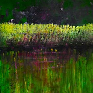 Palude - Notturno, 2017