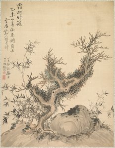 Rami ghiacciati e bambù nano, 1847 da Tsubaki Chinzan