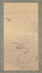 Falco che afferra un piccolo uccello, XIX secolo da Tsubaki Chinzan