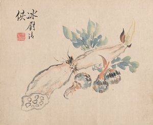 Radice di loto e lingua di serpente da Tsubaki Chinzan