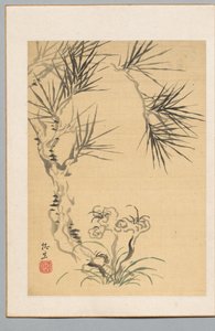 Pino e fungo, XIX secolo da Tsubaki Chinzan