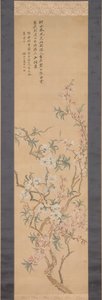 Fiori di Pesco Rossi e Bianchi da Tsubaki Chinzan