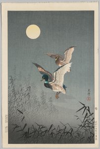 Vedute di Tokyo: Anatre da Tsuchiya Kōitsu
