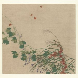 Autunno da Tsukioka Kogyo