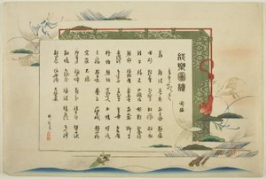 Pagina dell