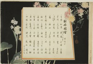 Pagina dell