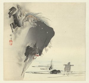 Tartarughe