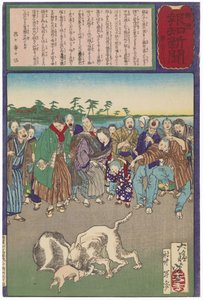 Una gatta interrompe una rissa tra cani per vendicare la morte della madre da Tsukioka Yoshitoshi