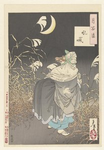Il richiamo della volpe da Tsukioka Yoshitoshi