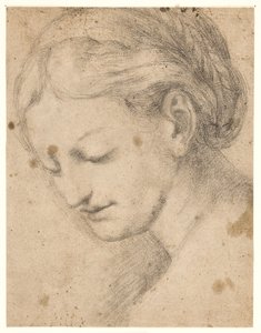 Il volto di una donna in tre quarti di profilo
