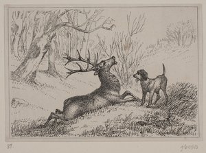 Illustrazione per la poesia "Il Cervo" di Gotfred Rode