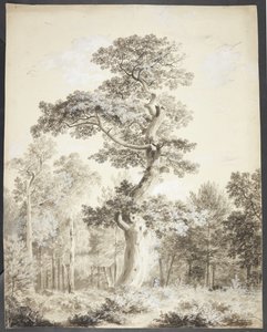 Paesaggio con Grande Albero e Cacciatore da Ubekendt