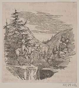 Viaggio su muli