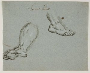 Una gamba sinistra e un piede destro