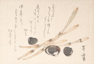 Pianta di Tsukushi e conchiglie di Shijimi da Uematsu Toshu