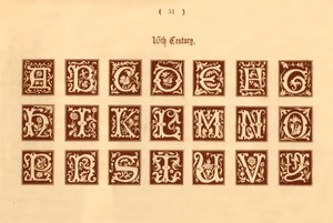 XVI Secolo