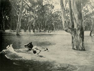 Un banchiere, 1901