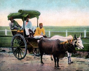 Un risciò di Bombay, India, inizio XX secolo da Unbekannt