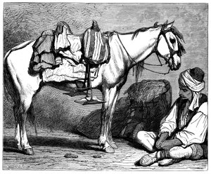 Un contadino bosniaco, c1890 da Unbekannt