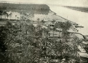 Una posizione britannica sul fiume Tigri, 1919 da Unbekannt