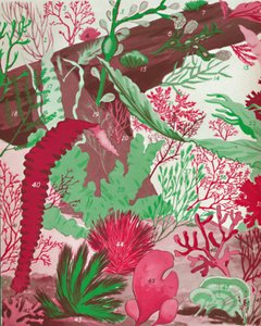 Una collezione di oltre cinquanta specie di alghe rosse, verdi e brune, 1935