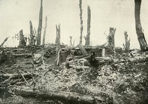 Un rifugio in quello che una volta era un bosco silvano, 1919 da Unbekannt
